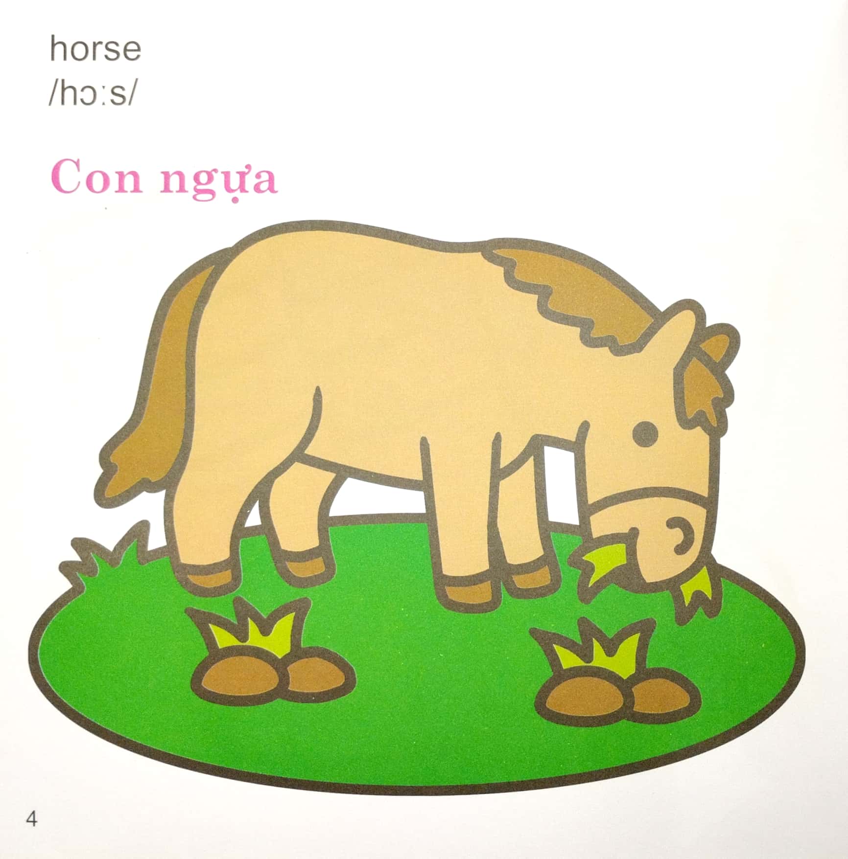 Tô Màu Thú Vị - Sống Động _TV