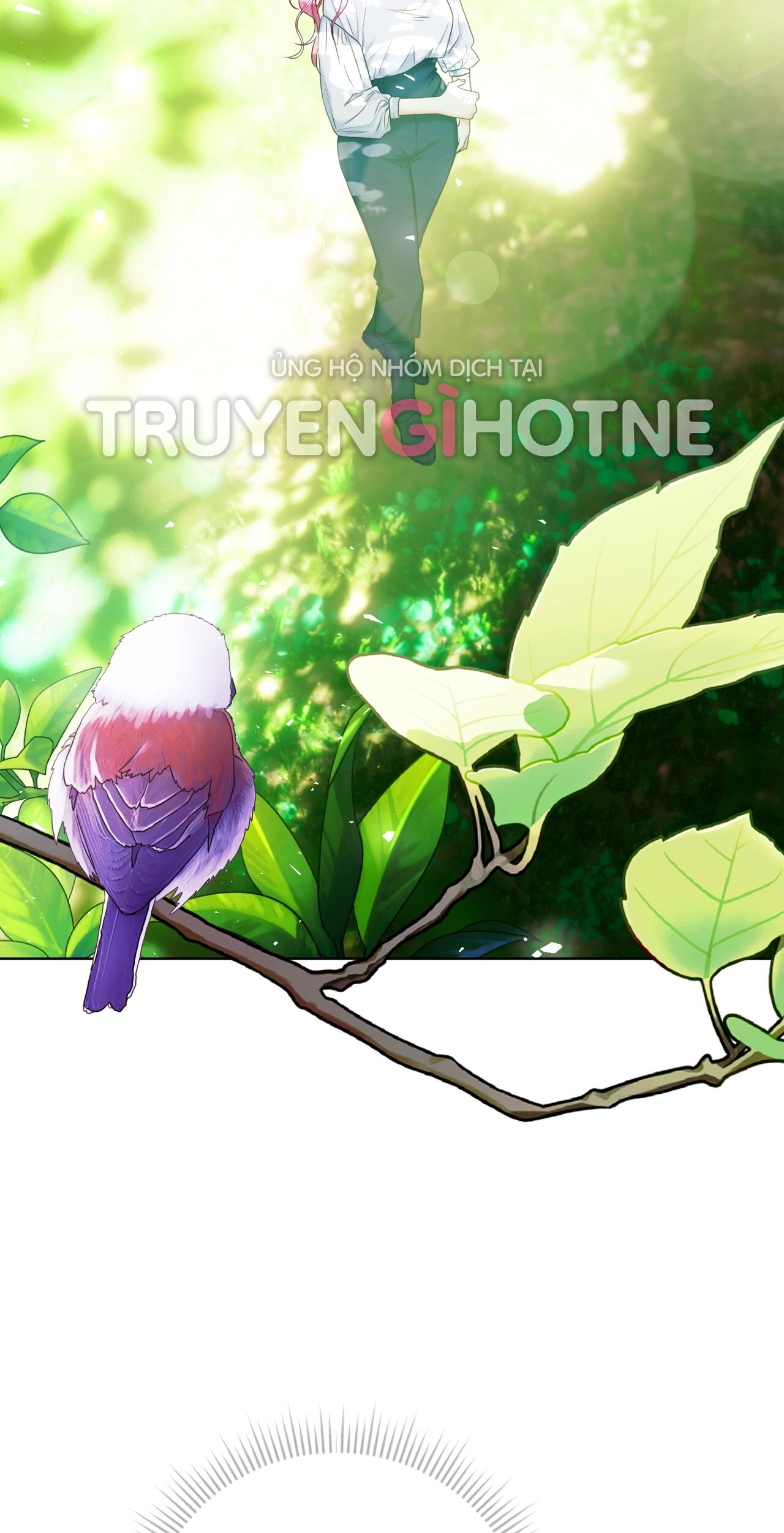 hợp đồng hôn nhân với hai người chồng chapter 5.1 3