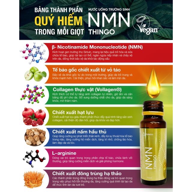 [LIỆU TRÌNH 3 THÁNG - TẶNG 1 HỘP] Combo 9 Hộp Nước Uống Trường Sinh NMN Thingo - Trẻ hoá làn da, cải thiện sức khoẻ, nước uống collagen thuần chay thực vậtChính hãng