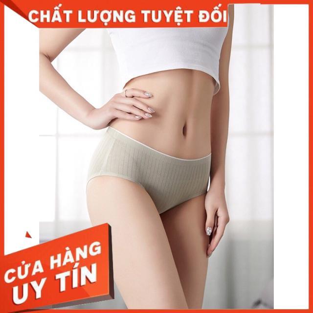 Quần Lót Cotton Gân Tăm Không Đường May Kháng Khuẩn