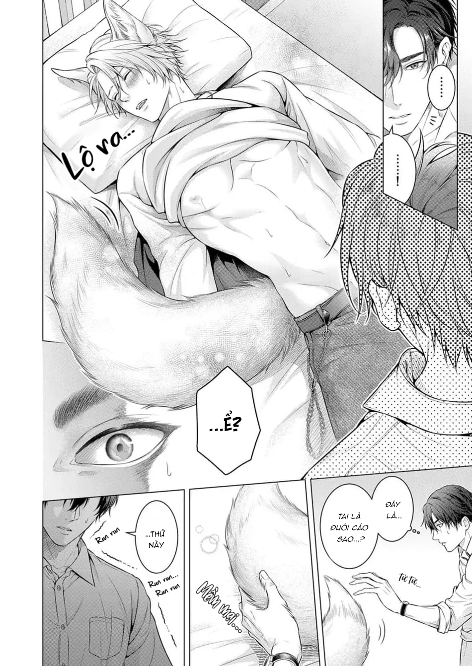 hãy để anh chạm vào cái đuôi hư hỏng này nhé chapter 1 12