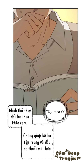 hoàng đế đảo ngược thời gian - cấm reup truyện chapter 2 13