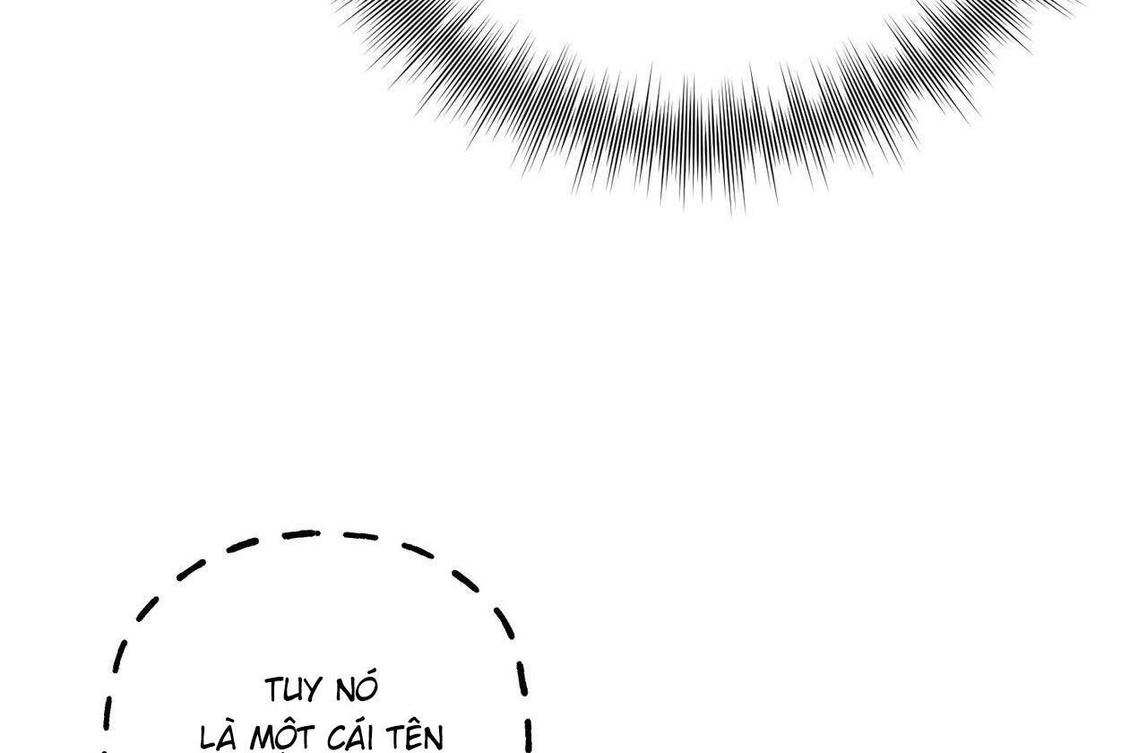 chàng dâu nhà họ kang chapter 42 169