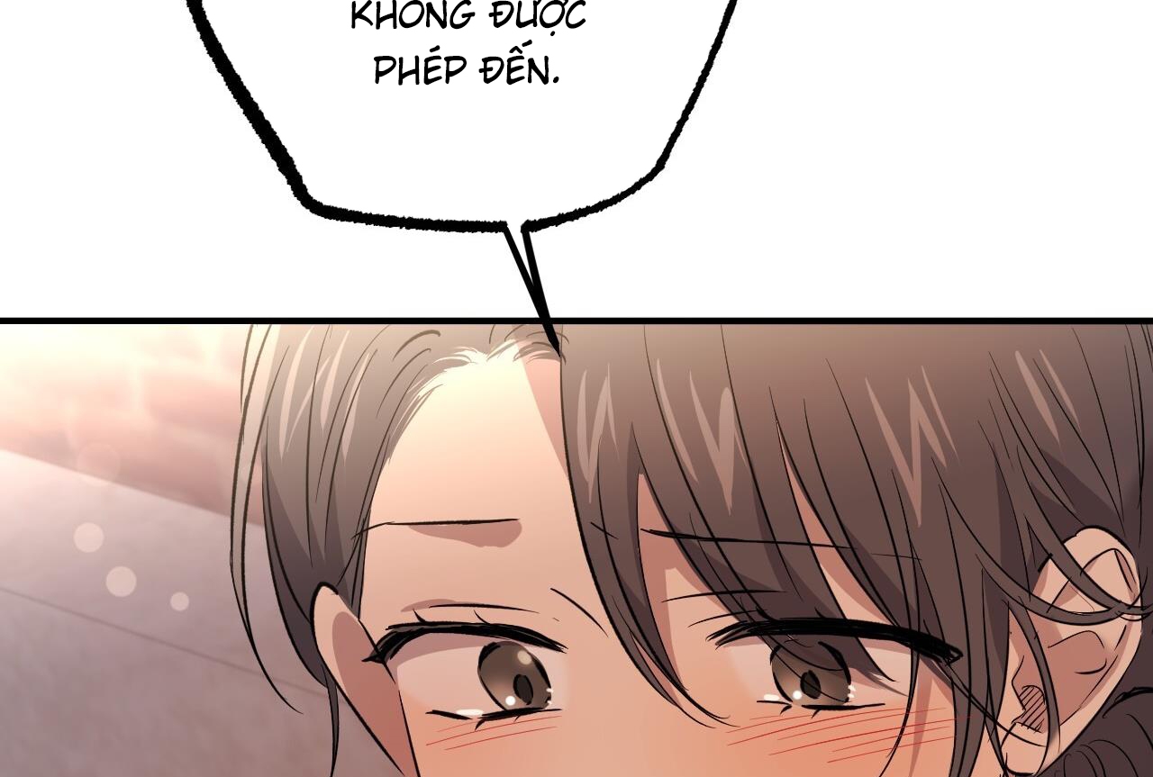 những chú thỏ của hapypy chapter 57 163