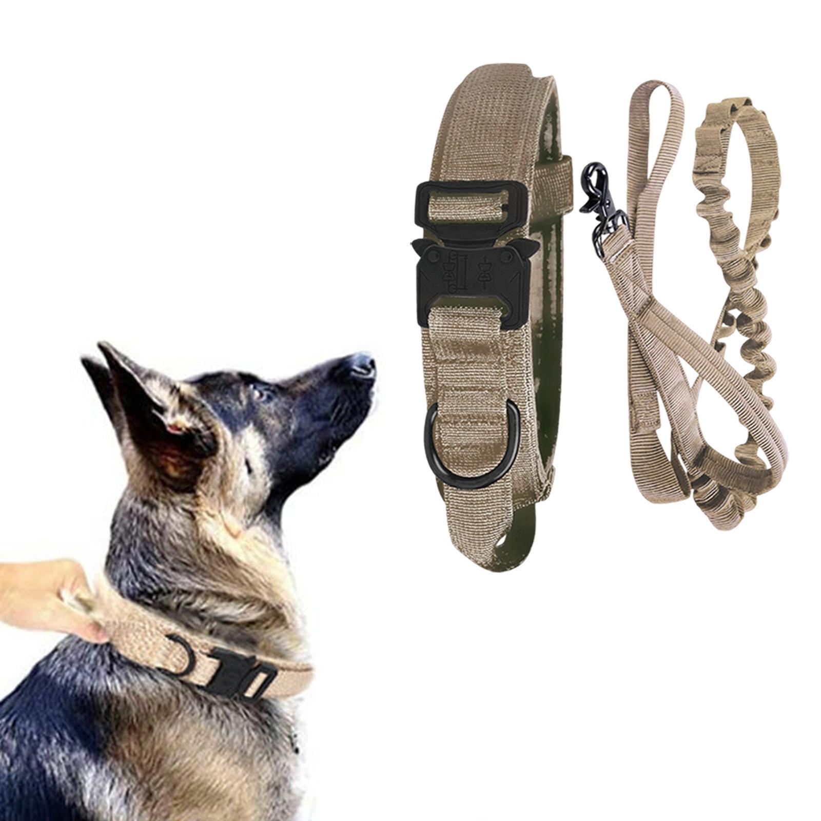 And Leash Set with Handle w/ Metal Buckle Adjustable