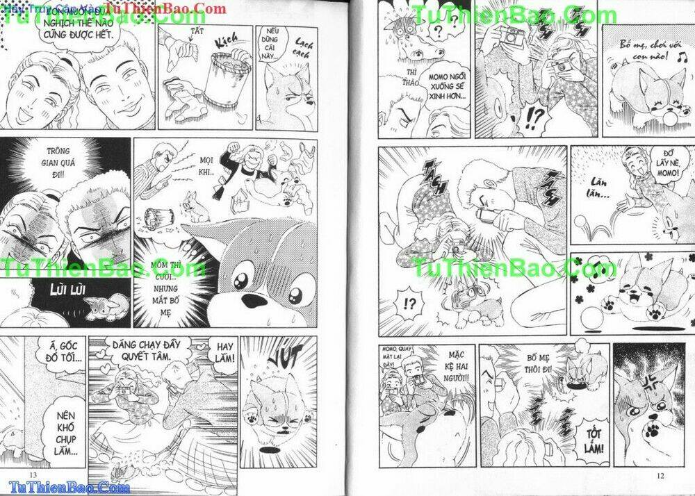 chó con mo mo chapter 6 7