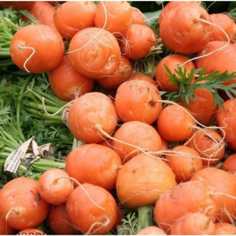 Hạt Giống Cà Rốt Củ Tròn Paris KNS3271 - Gói 50 hạt