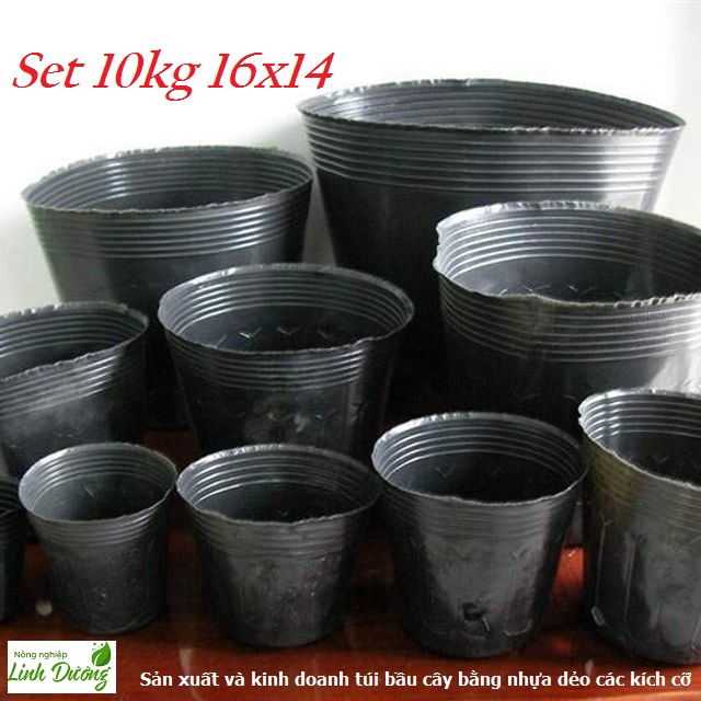 Set 10kg Bịch bầu ươm cây 16x14