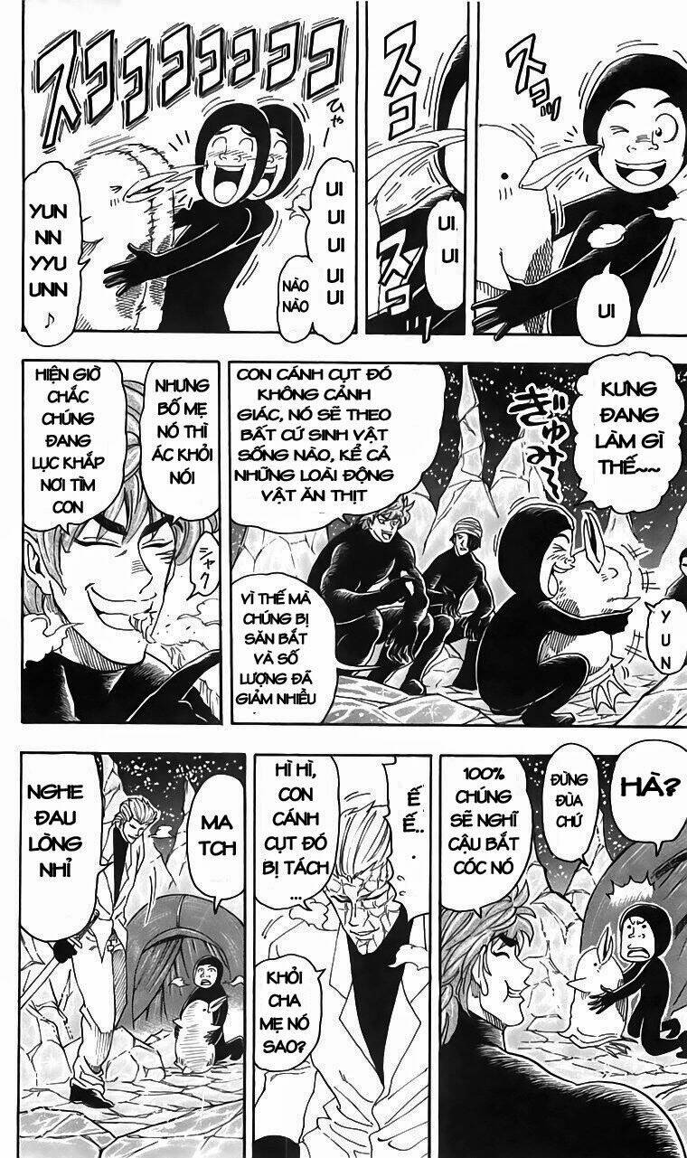 thợ săn ẩm thực chapter 74 6