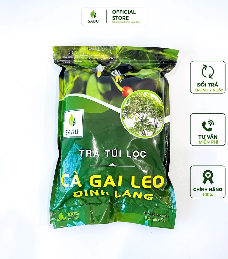 1kg Trà cà gai leo đinh lăng Sadu