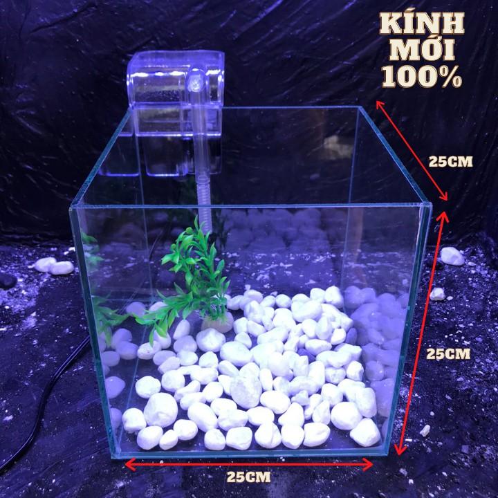 Bể cá cubic 25cm combo đầy đủ phụ kiện - bể cá mini - bể cá để bàn mini - bể cá mini