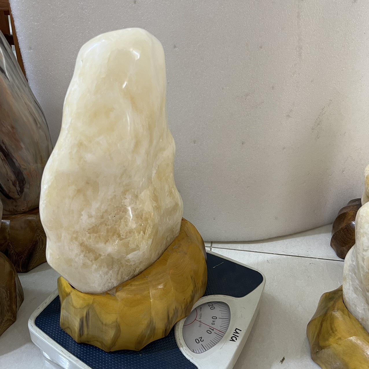 Cây đá tự nhiên trong ngà cho người người mệnh Kim và Thổ nặng hơn 9 kg cao 38 cm CÂYXANH9KG