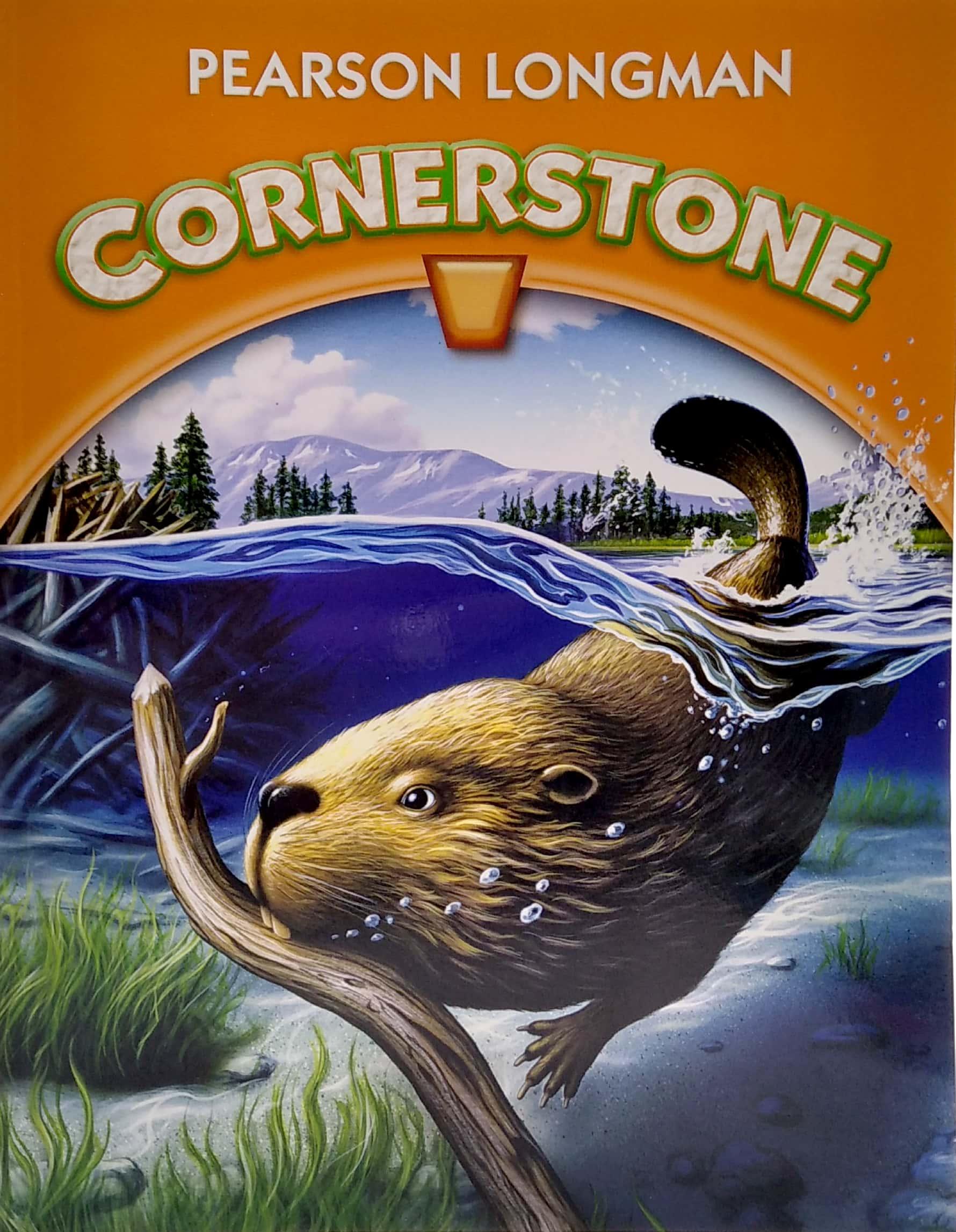 Sách ngoại văn: Cornerstone 2013 Student Edition Grade 4