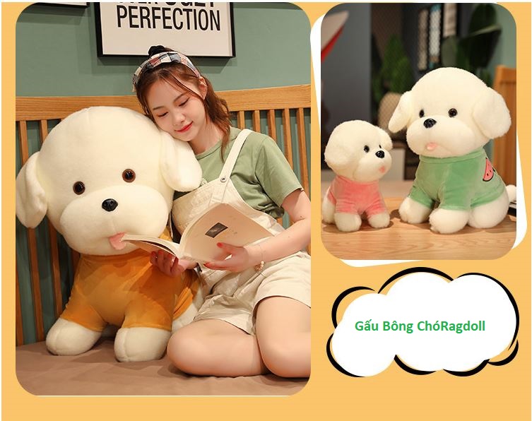 Gấu bông chó Ragdoll siêu đẹp, siêu dễ thương