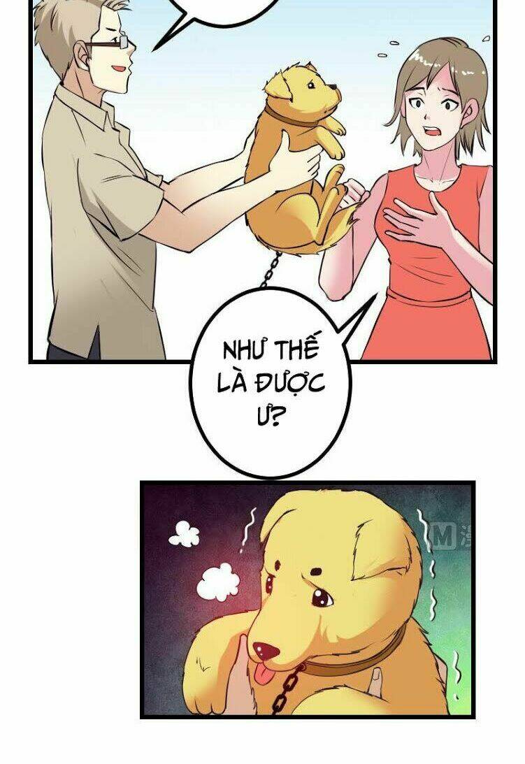 ngưu thư cung ứng thương chapter 44 16