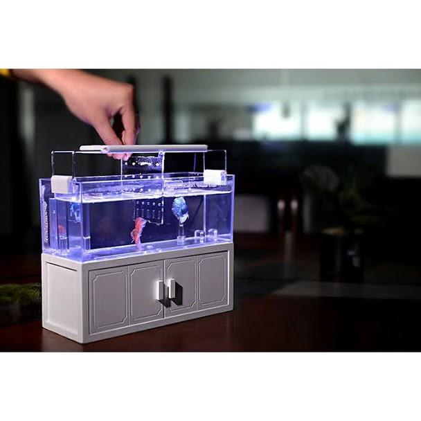 Bể cá mini thủy sinh trang trí bàn làm việc