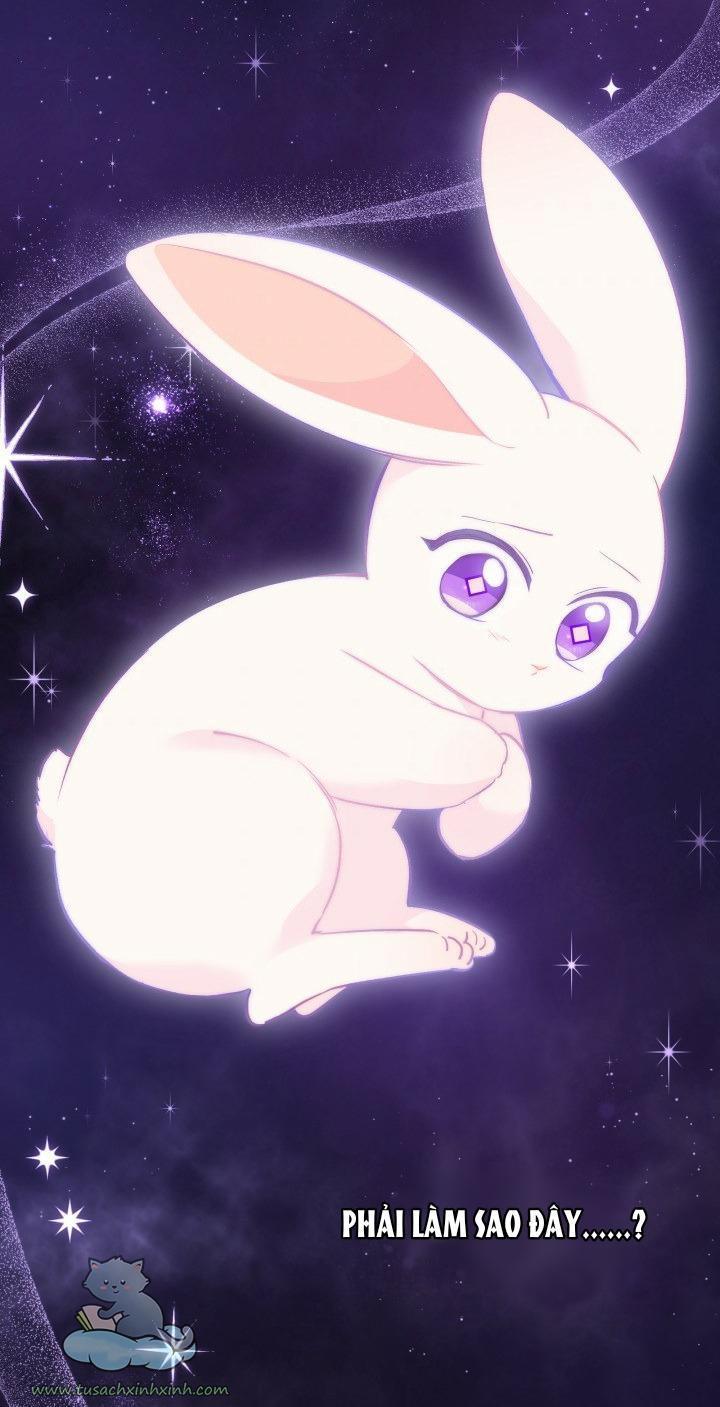 quan hệ cộng sinh giữa báo đen và thỏ trắng chapter 59 3