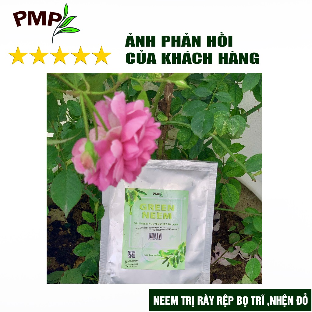 Dầu Neem Oil Hữu Cơ PMP Nguyên Chất Loại Bỏ Trĩ, Rệp, Nhện Đỏ, Nấm, Sâu Bệnh Cho Hoa Hồng, Rau Củ Green Neem 50ml-100ml