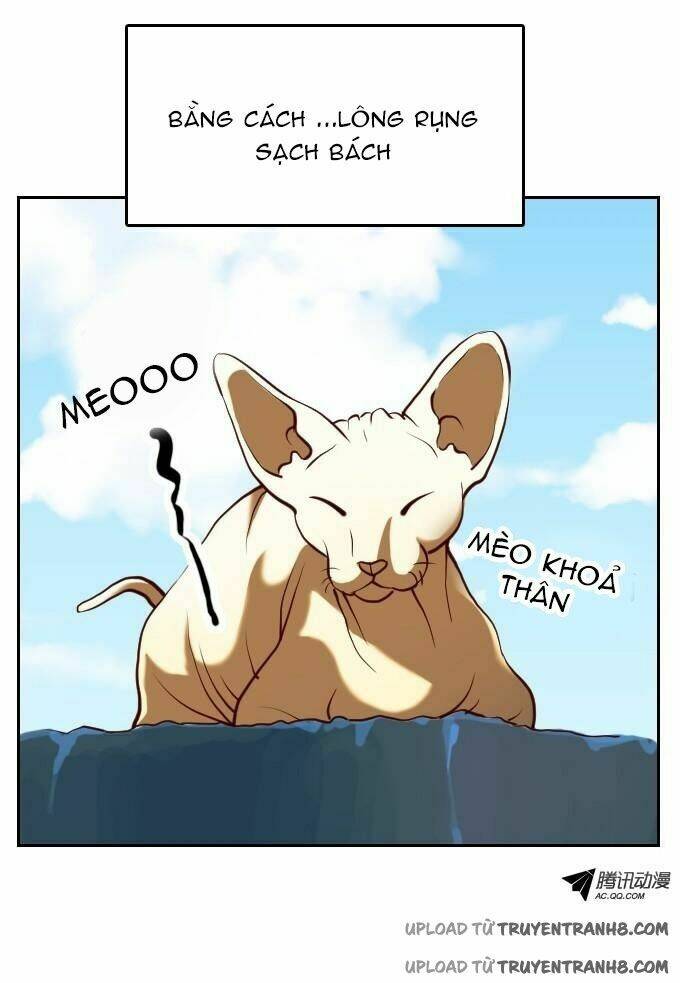 ớn lạnh tuyệt đối chapter 21 20