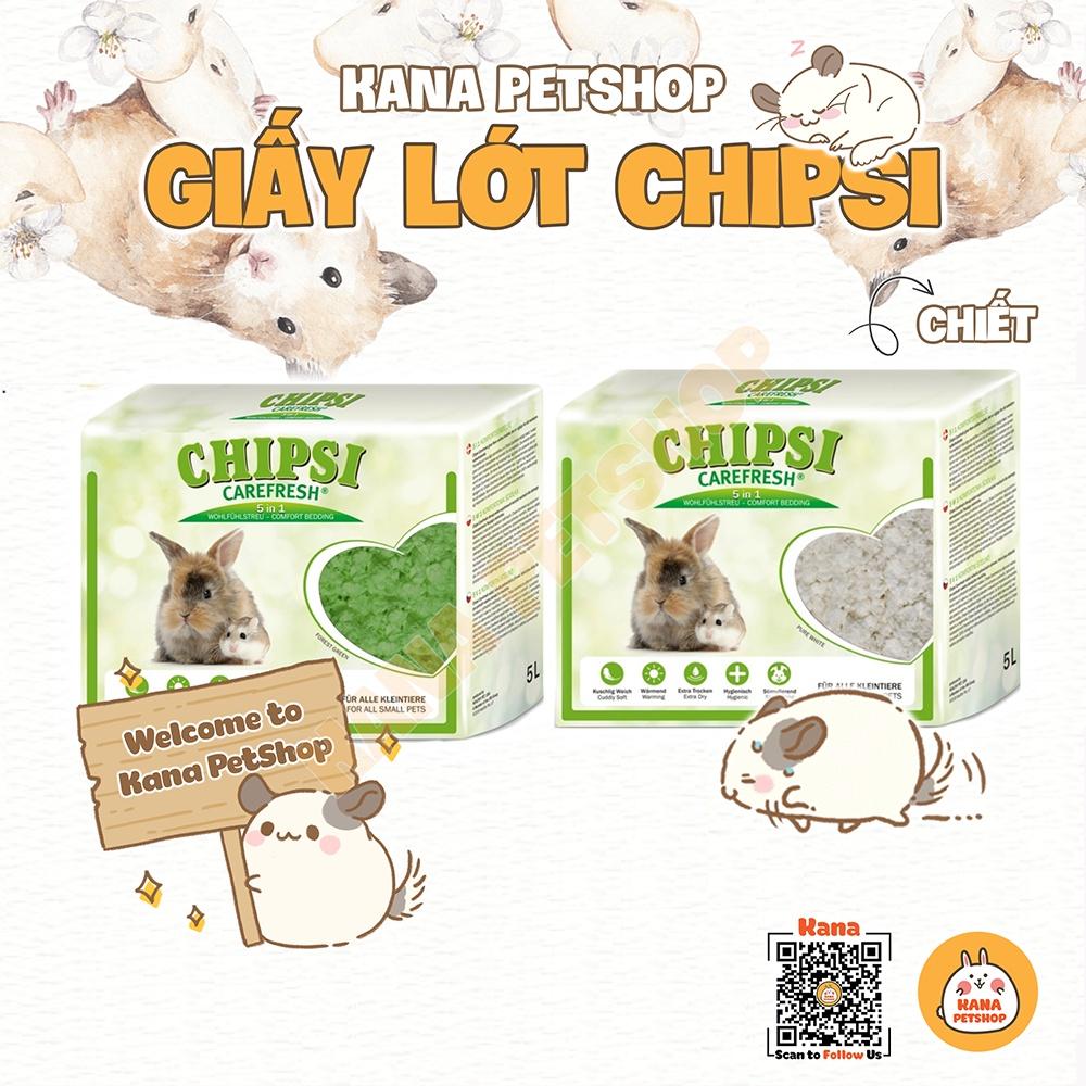 Giấy lót Hamster Giấy Lót Carefresh CHIPSI 80G Chính Hãng Cho Hamster, Sóc, Nhím ....