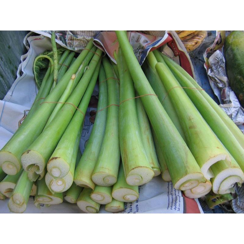 1kg Dọc mùng tươi sạch nấu canh chua, cây nhà trồng