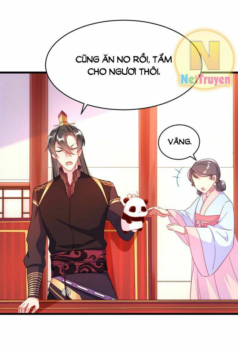 thiên thần gấu trúc muốn được ôm chapter 12 20