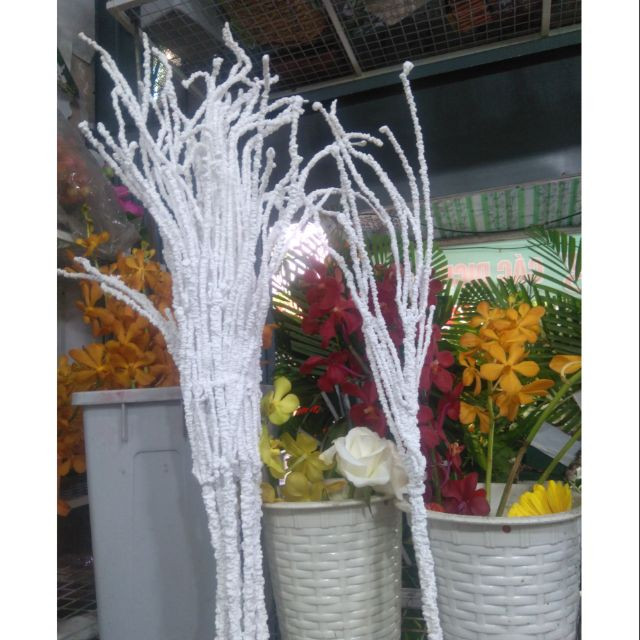 Cây tuyết trắng trang trí chậu hồ điệp - Trắng - 10 cây