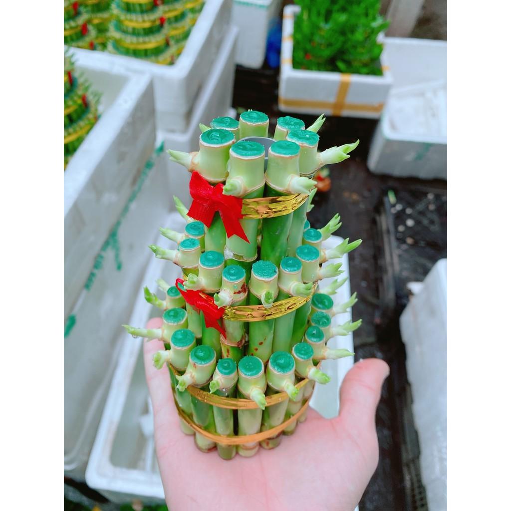 Chúc Phát Tài Hay Chúc Phát Lộc 3 Tầng Có Tặng Kèm Dĩa Lót