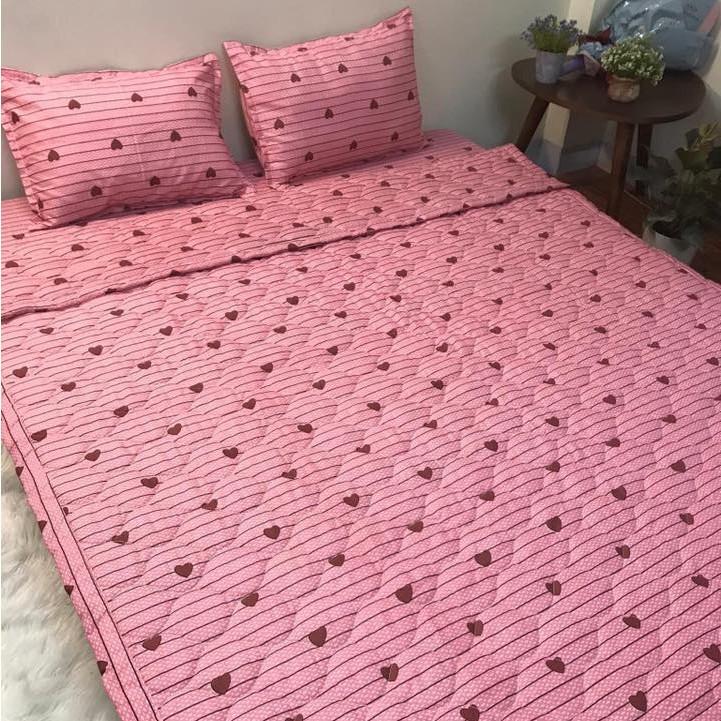 Bộ Chăn Phao Kèm Ga Và Vỏ Gối Mẫu KẺ TIM HỒNG