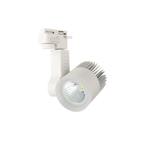 ĐÈN RỌI RAY BERYL 12W - 30W