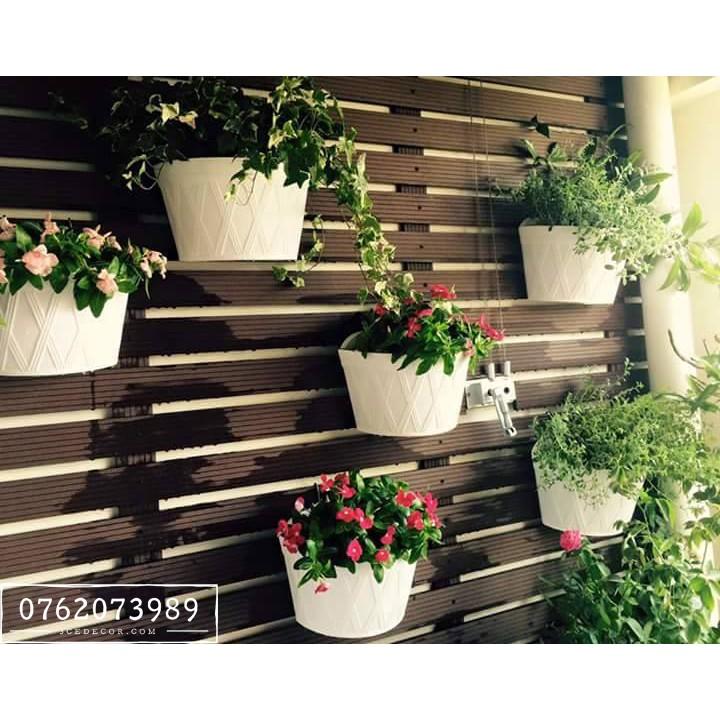 Chậu treo tường bán nguyệt