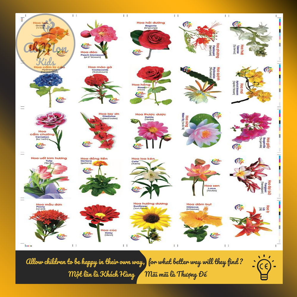 Bộ Thẻ Flashcards 16 Chủ Đề - Học Tiếng Anh Cho Bé || Montessori cao cấp || Đồ chơi Gỗ - Giáo dục - An toàn - Thông minh
