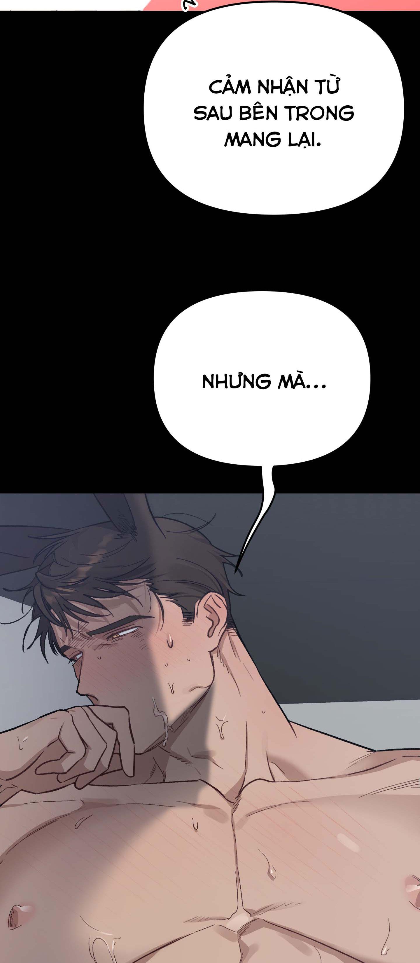 thỏ nhỏ xuất tinh trong 3 giây chapter 5 32