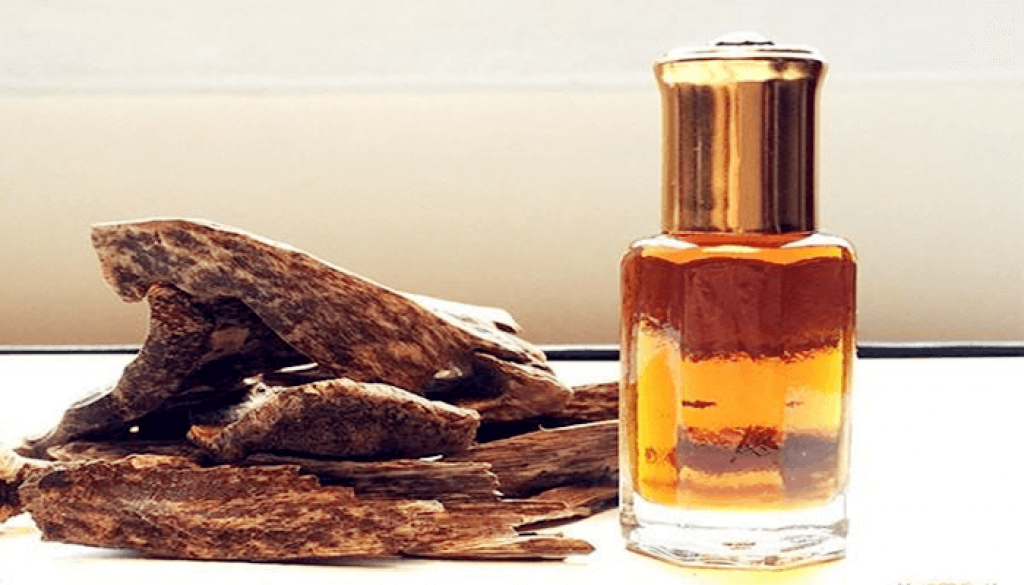 Tinh dầu Trầm Hương 100ml nguyên chất từ thiên nhiên, xông phòng, khử mùi, thơm phòng, đuổi muỗi - KingOil