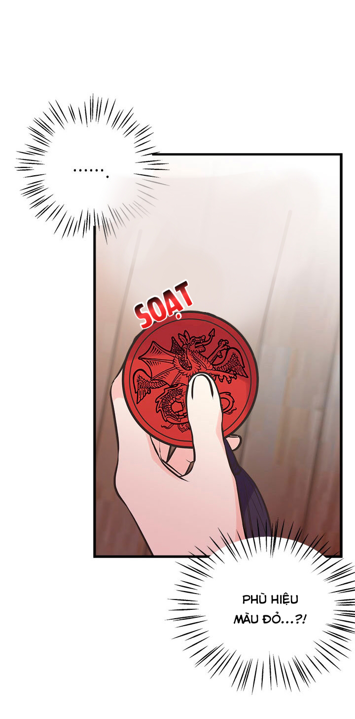 chị tôi đã nhặt về một nam chính quyến rũ chapter 28 48