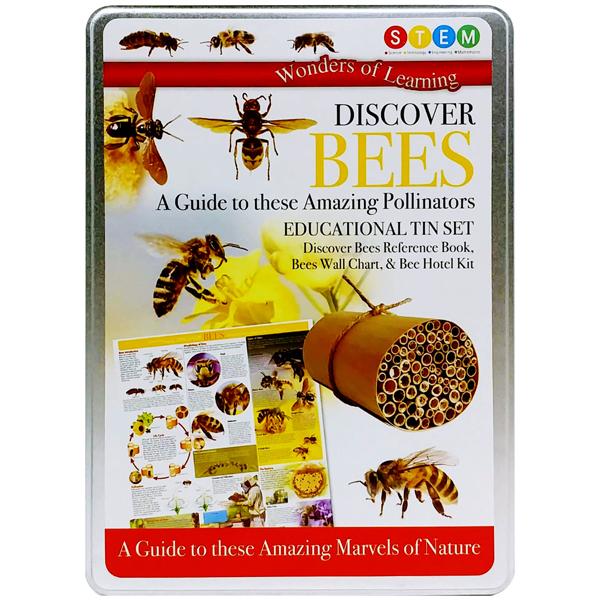 Wonder Of Learning - Discover Bees - A Guide To These Amazing Pollinators