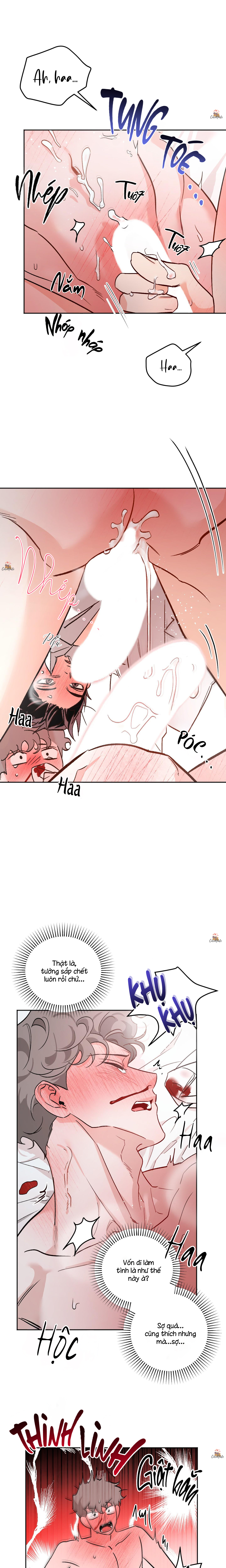 một căn studio thôi là đủ! chapter 4 17