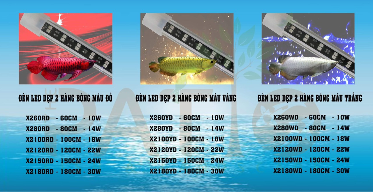 Đèn Led XML Chuyên Dụng Cho Cá Rồng - Led Xuanmeilong Phiên Bản Thủy Tinh Limited