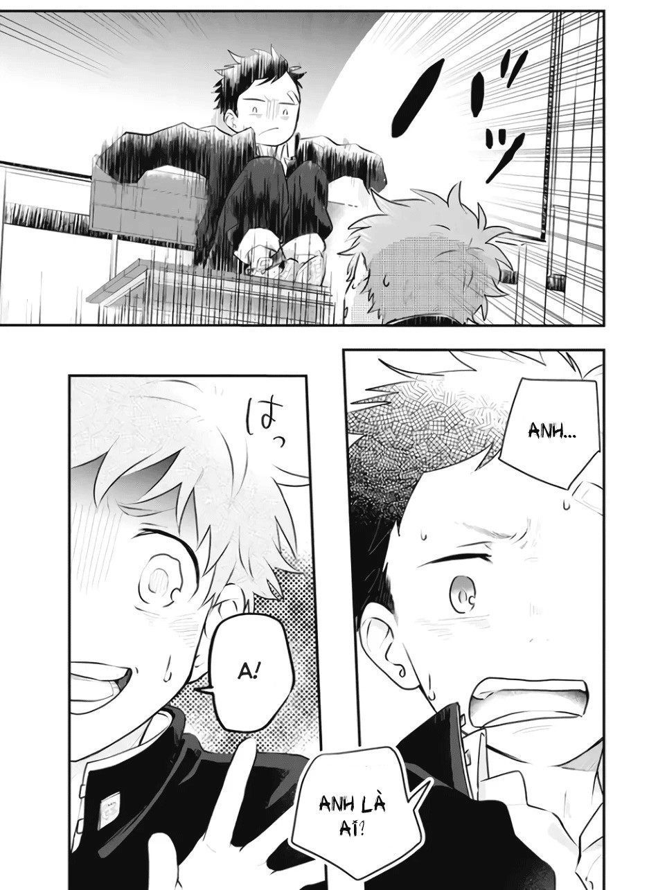 quan sát đầu xuân chapter 1 4