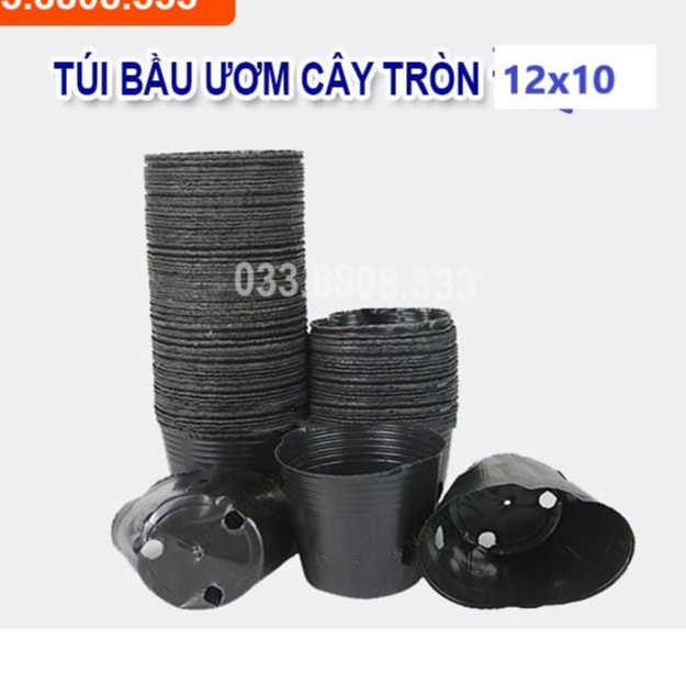 BẦU TRÒN ƯƠM CÂY 12X10 - HÀNG LOẠI 1