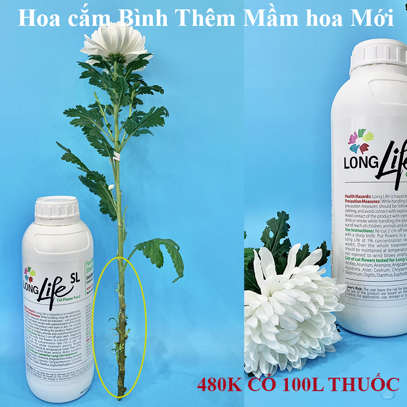 NƯỚC DƯỠNG HOA LÂU TÀN THẾ HỆ MỚI DÙNG CHO MỌI LOẠI HOA HIỆU LONGLIFE SL (CHAI 1L PHA 100L NƯỚC) NHẬP KHẨU GADOT ISRAEL