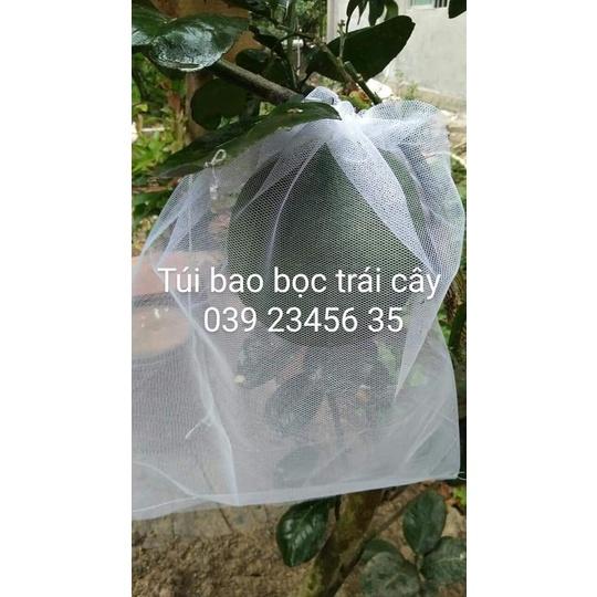 100 cái Túi Bao Bọc Trái Bưởi, Dưa Lưới Chống Ruồi Vàng Hiệu Quả