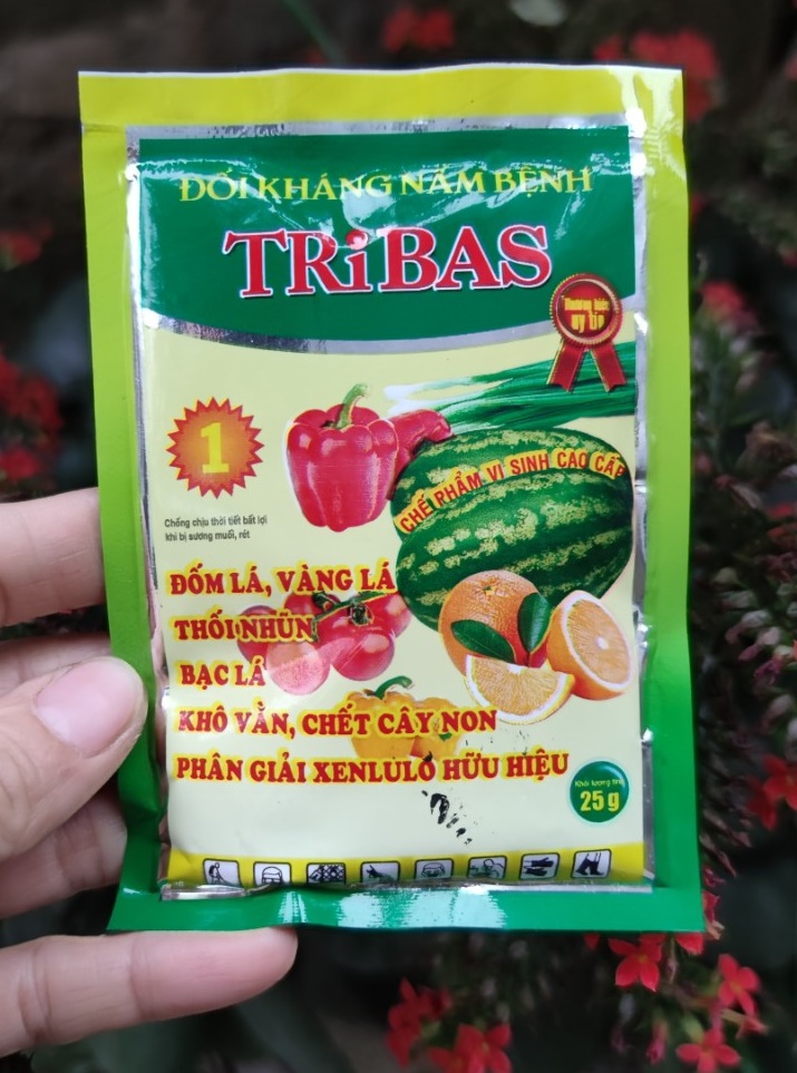 Chế phẩm nấm đối kháng Tribas 25gr giúp ngăn ngừa các hiện tượng thối rễ, vàng lá, chết cây con
