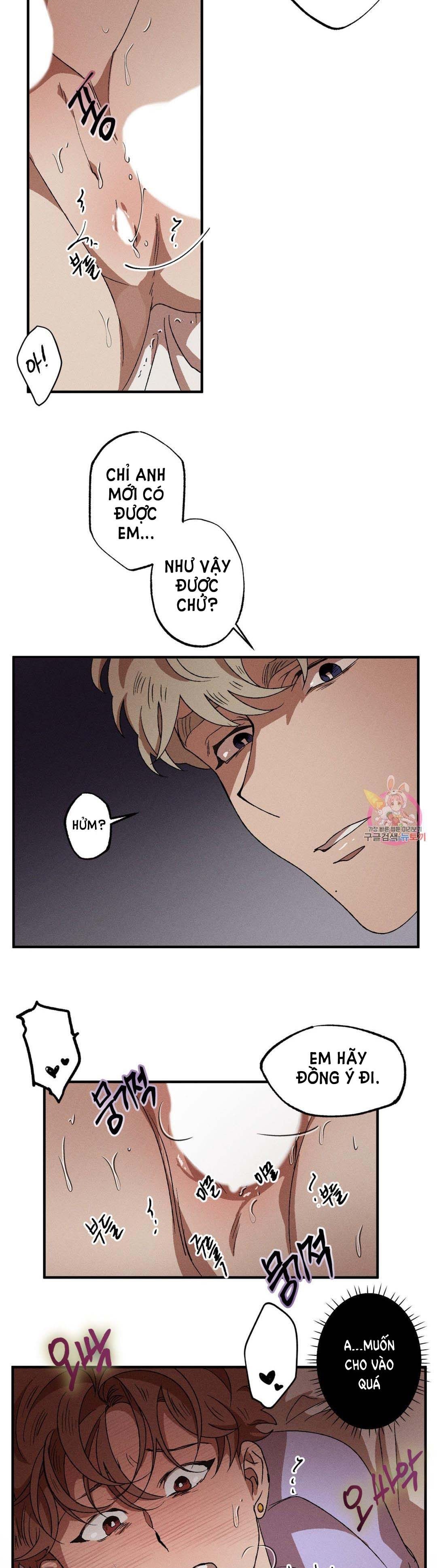 bẫy kép chapter 40.2 8