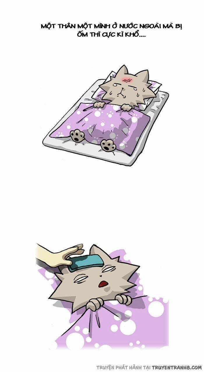 pigeonhole fantasia 2 chapter 56 3