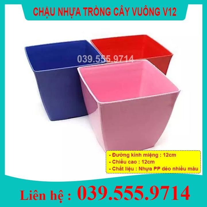 9 Chậu Nhựa V12 Nhiều Màu - Chậu Dày Bền Đẹp