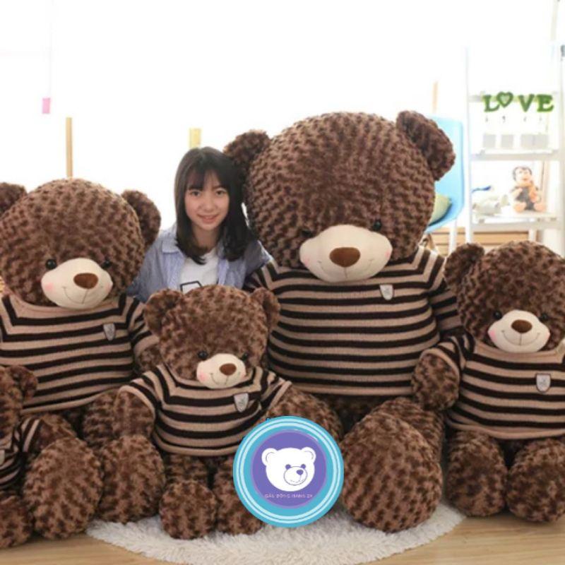 Gấu bông teddy - Teddy mặc áo len - Gấu Bông Hana
