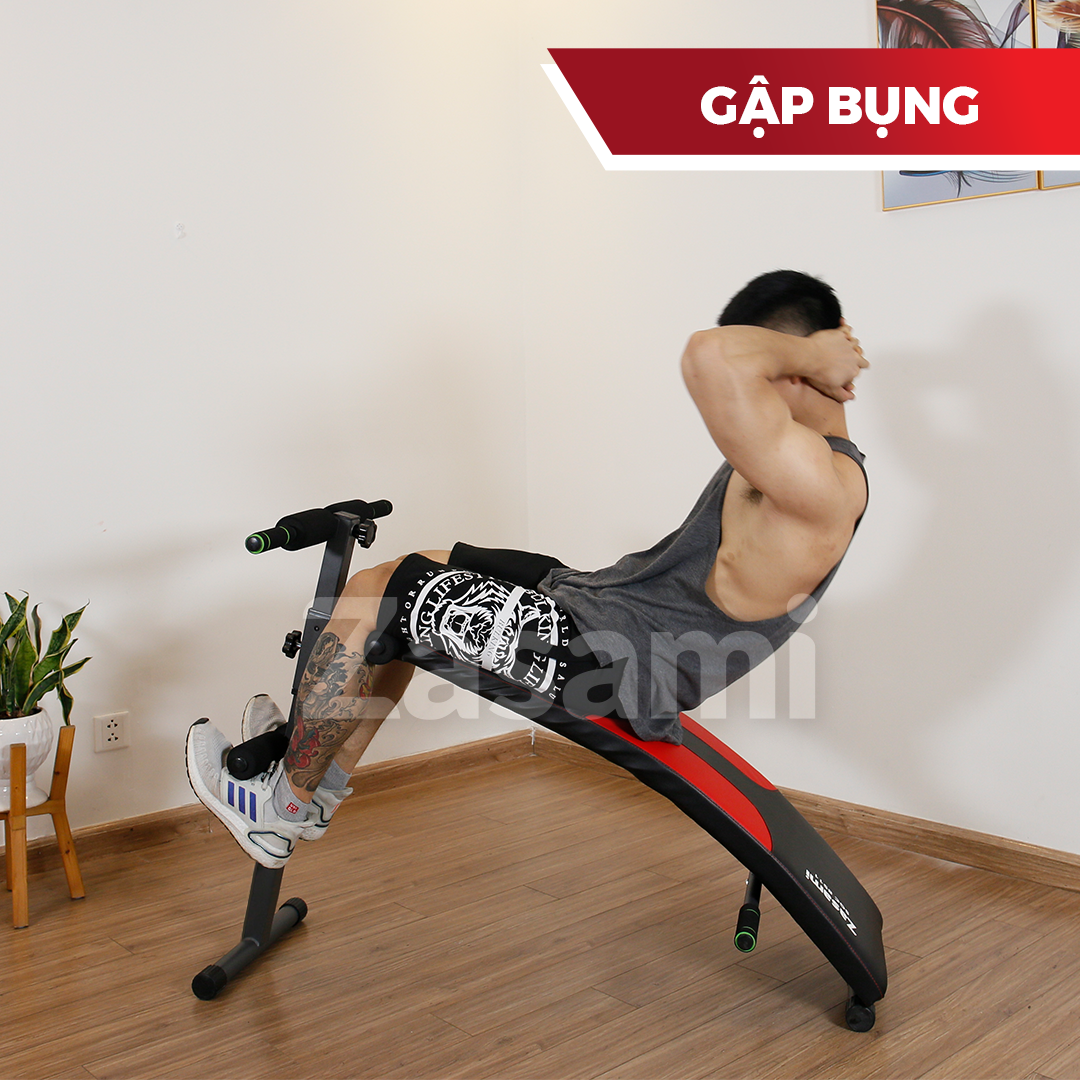 Ghế cong tập bụng Zasami SGC-8511