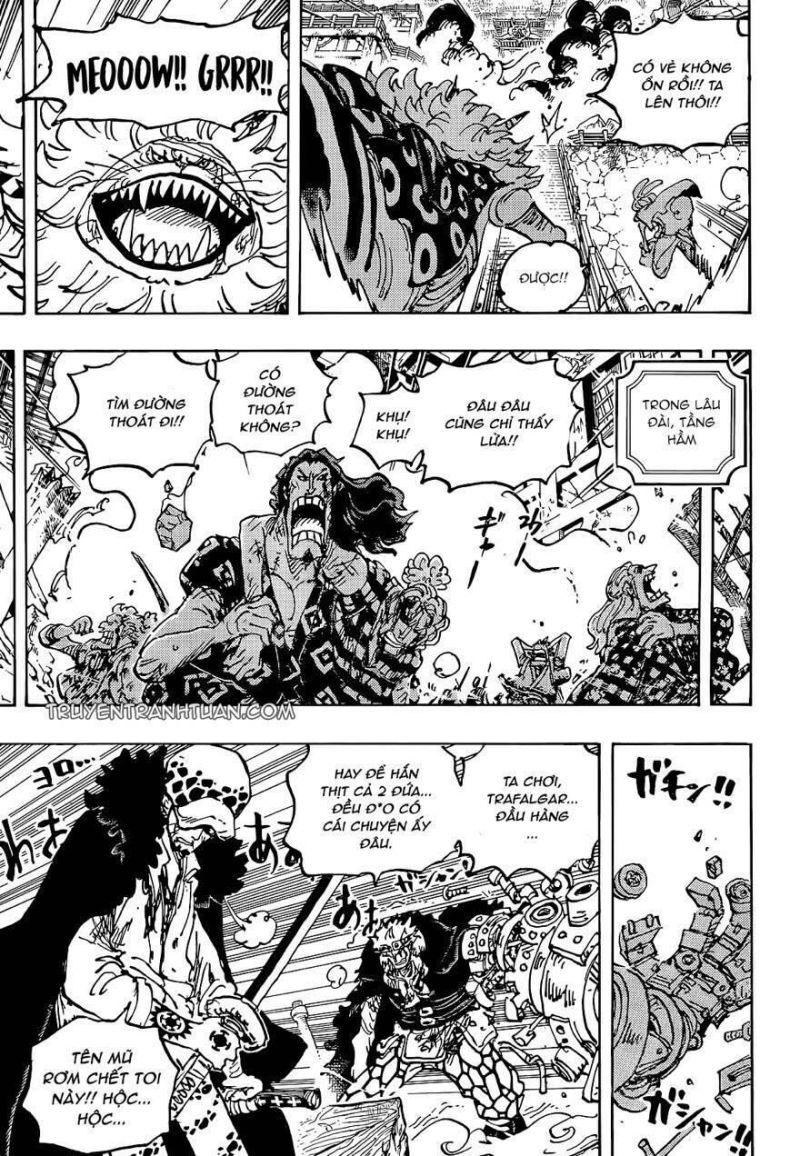 đảo hải tặc - one piece chapter 1043 11