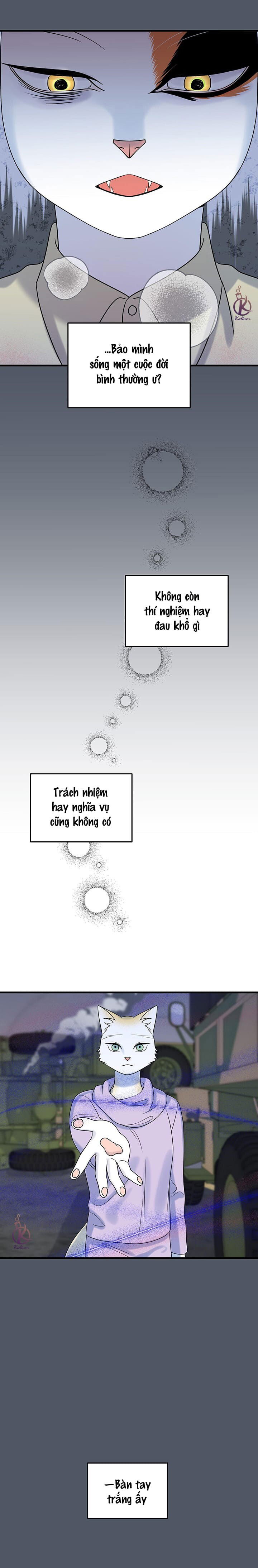 dự án xanh chapter 43 15